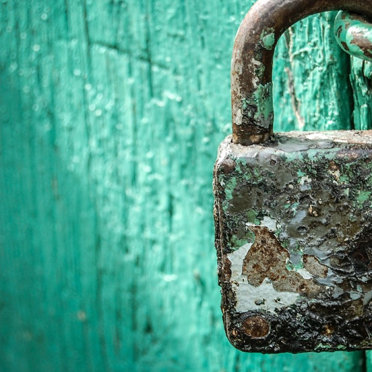 secure payment shield lock